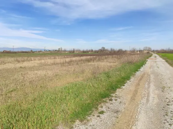 Land In Katerini, Greece