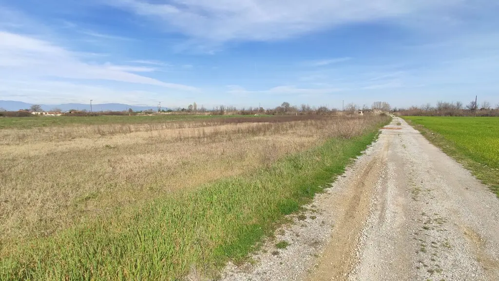 Land Of 4000 M² On The Olympic Coast