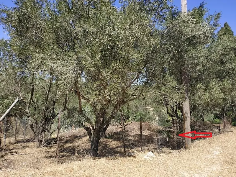 01-IMG_20210831_130831