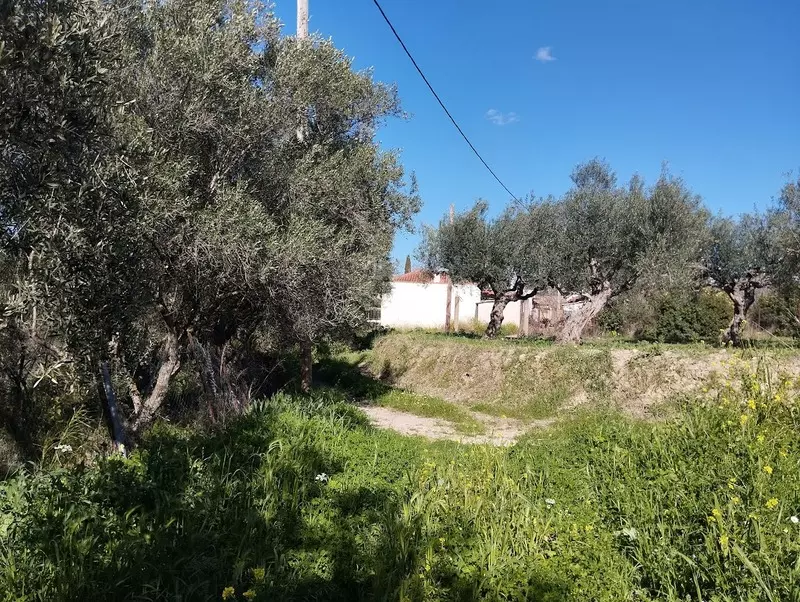 01-IMG_20240315_153141