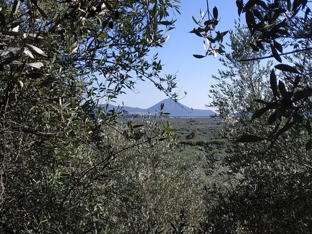 02-IMG_20201010_162236