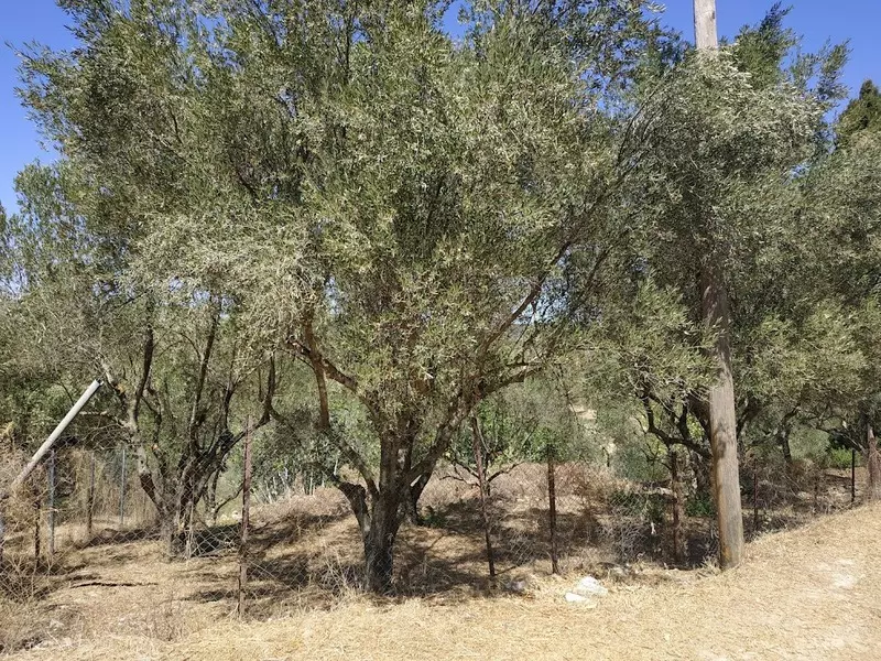 02-IMG_20210831_130829