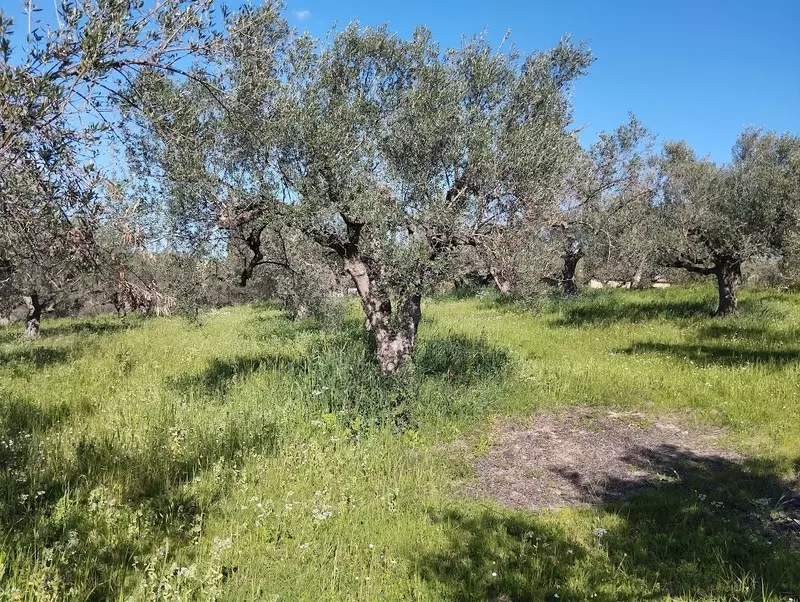 02-IMG_20240315_153035