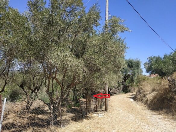Plot Of 500 M² In Pisaski, Messinia, Peloponnese, Greece