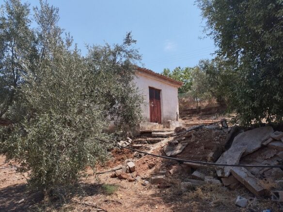 Agricultural Land Plot Of 7,356.50 Sq.m. In The Area Of The Gargalianoi South Peloponnes Greece