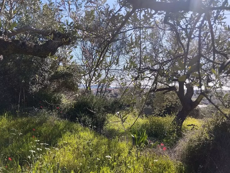 04-IMG_20240315_153025