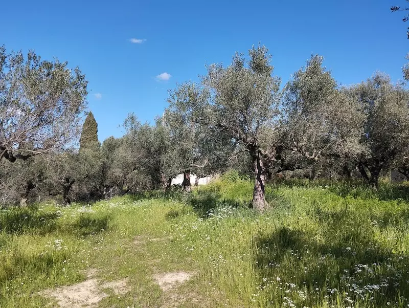 05-IMG_20240315_152933