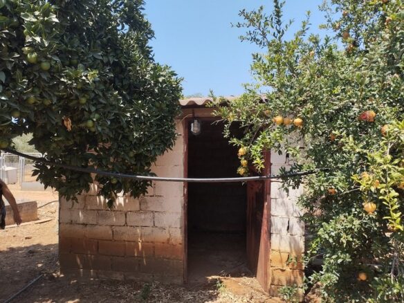 Agricultural Land Plot Of 7,356.50 Sq.m. In The Area Of The Gargalianoi South Peloponnes Greece