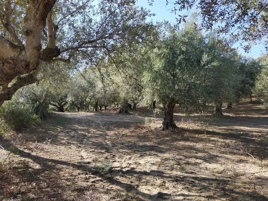 06-IMG_20201010_161959