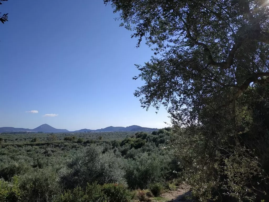 07-IMG_20201010_161957