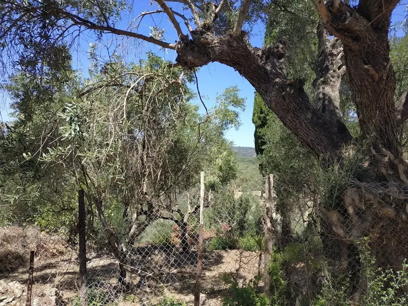 07-IMG_20210831_130726