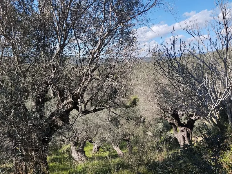 07-IMG_20240315_152844