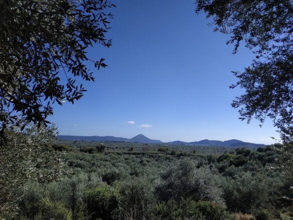 Plot Of 5800 Sqm For Sale In Tragana Messinia South Peloponnes Greece