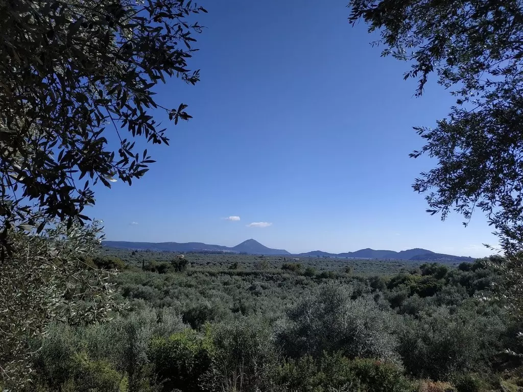 08-IMG_20201010_161955