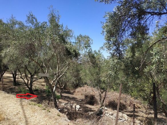 Plot Of 500 M² In Pisaski, Messinia, Peloponnese, Greece