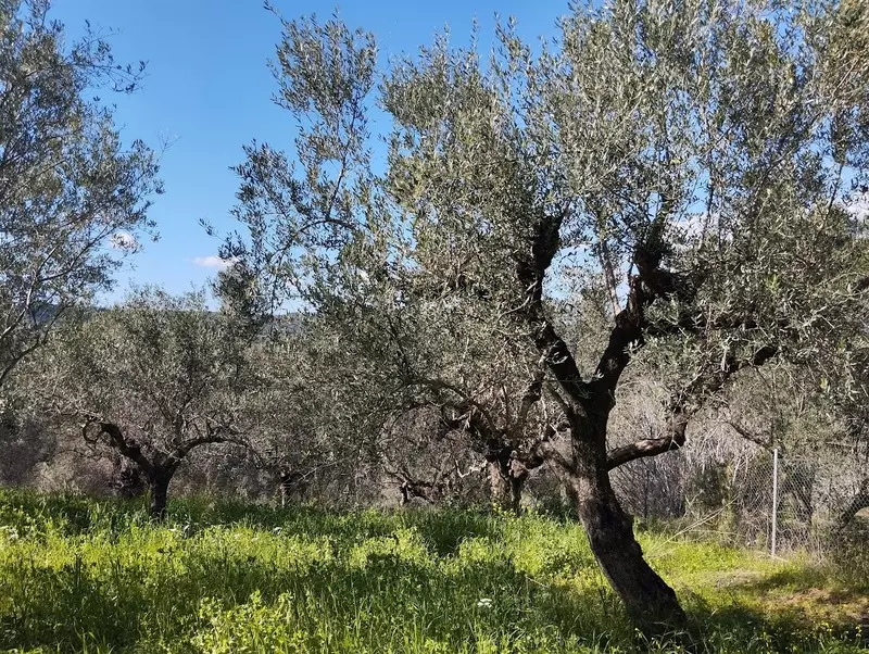 08-IMG_20240315_152805