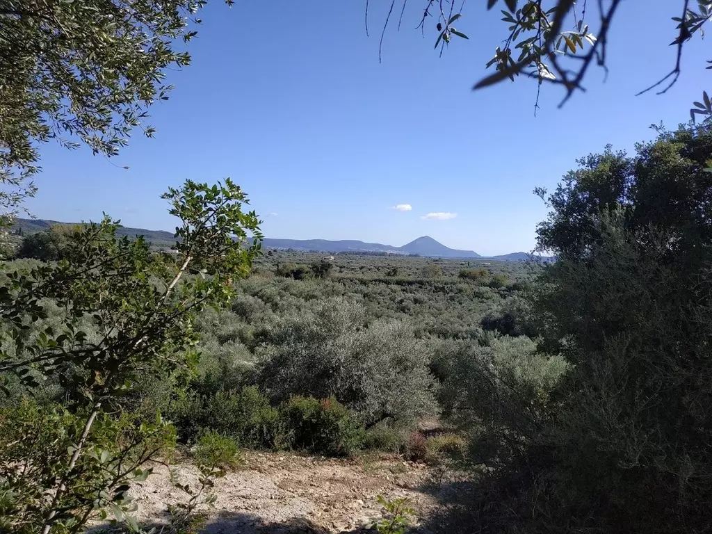 09-IMG_20201010_161945_1