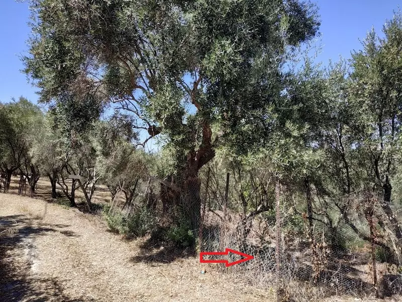 09-IMG_20210831_130716