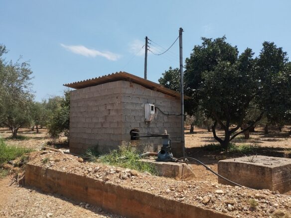 Agricultural Land Plot Of 7,356.50 Sq.m. In The Area Of The Gargalianoi South Peloponnes Greece