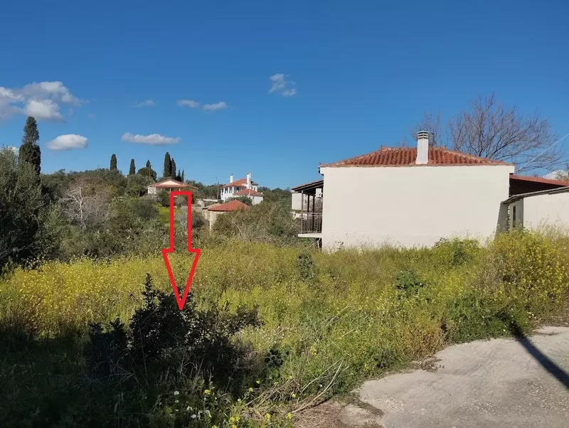 1-IMG_20240315_152727