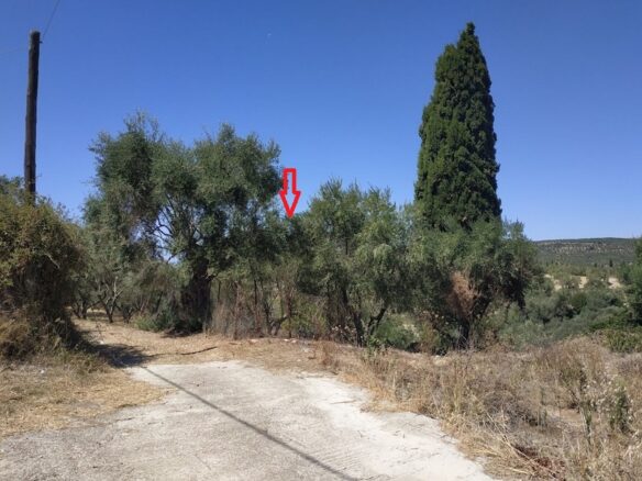 Plot Of 500 M² In Pisaski, Messinia, Peloponnese, Greece