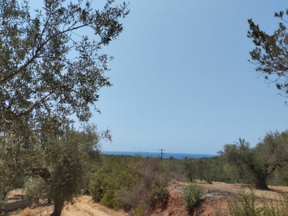 Agricultural Land Plot Of 7,356.50 Sq.m. In The Area Of The Gargalianoi South Peloponnes Greece