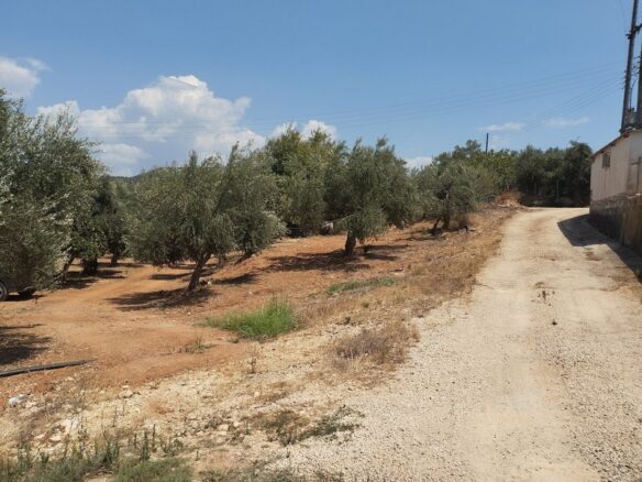 Agricultural Land Plot Of 7,356.50 Sq.m. In The Area Of The Gargalianoi South Peloponnes Greece