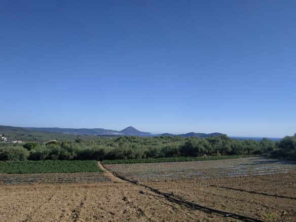 Land Of 7000 M² In Tragana Messinia