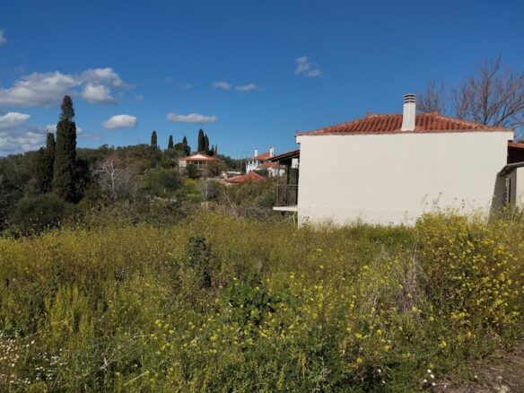 Plot Of 700 M² In Pisaski, Messenien, South Peloponnese, Greece