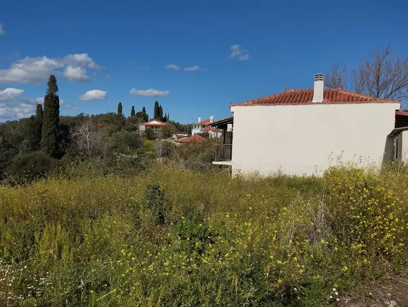 3-IMG_20240315_152715