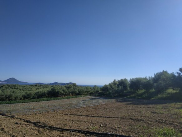 Land Of 7000 M² In Tragana Messinia