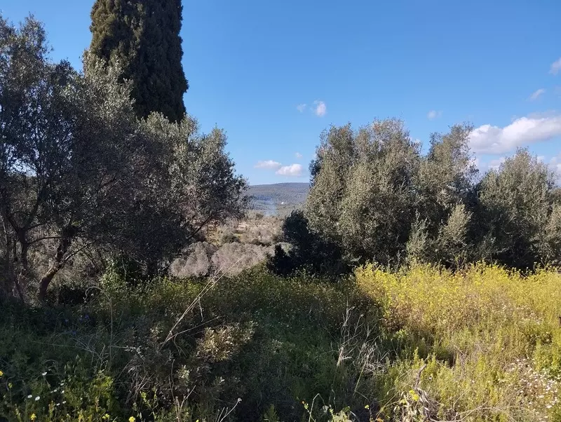 4-IMG_20240315_152712