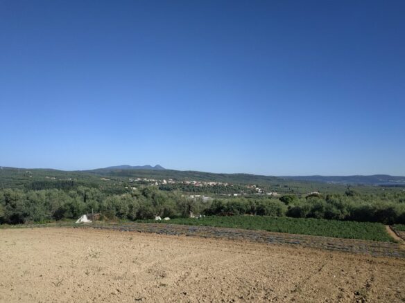 Land Of 7000 M² In Tragana Messinia