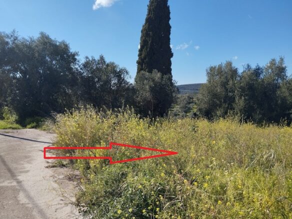 Plot Of 700 M² In Pisaski, Messenien, South Peloponnese, Greece