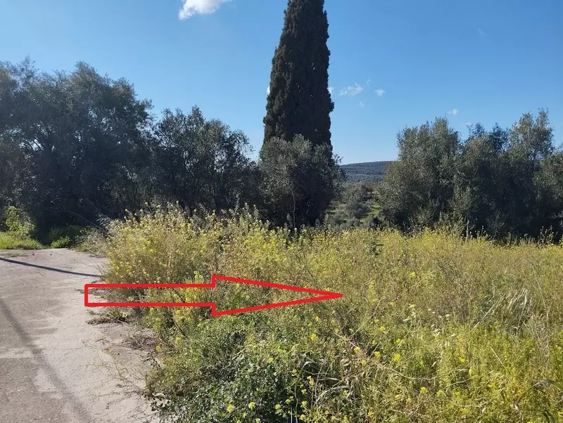 5-IMG_20240315_152659