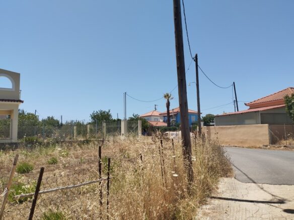 Plot Of 700 M² In Pisaski, Messenien, South Peloponnese, Greece