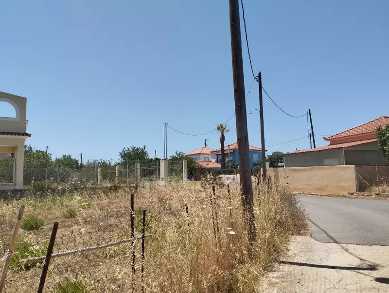 6-IMG_20240627_131326