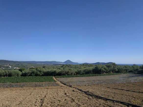 Land Of 7000 M² In Tragana Messinia