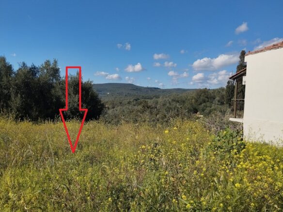 Plot Of 700 M² In Pisaski, Messenien, South Peloponnese, Greece