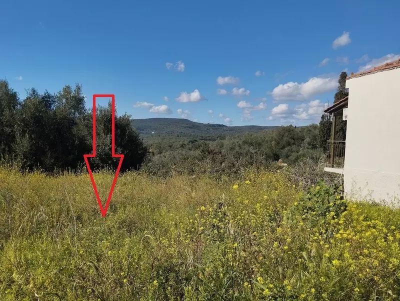 7-IMG_20240315_152650