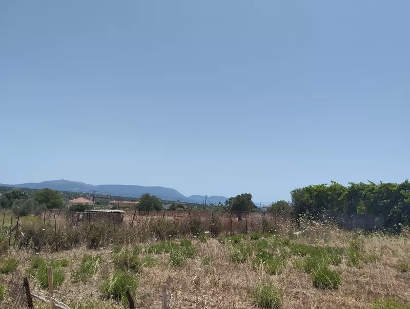 7-IMG_20240627_131328