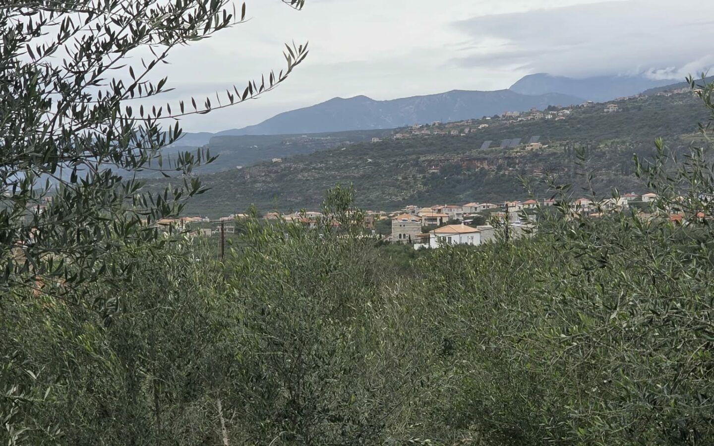 Plots Of 4 Adjacent In Western Mani