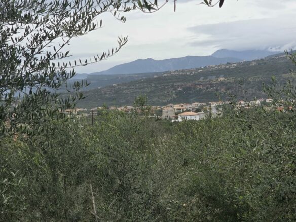 Plots Of 4 Adjacent In Western Mani