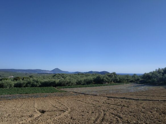 Land Of 7000 M² In Tragana Messinia