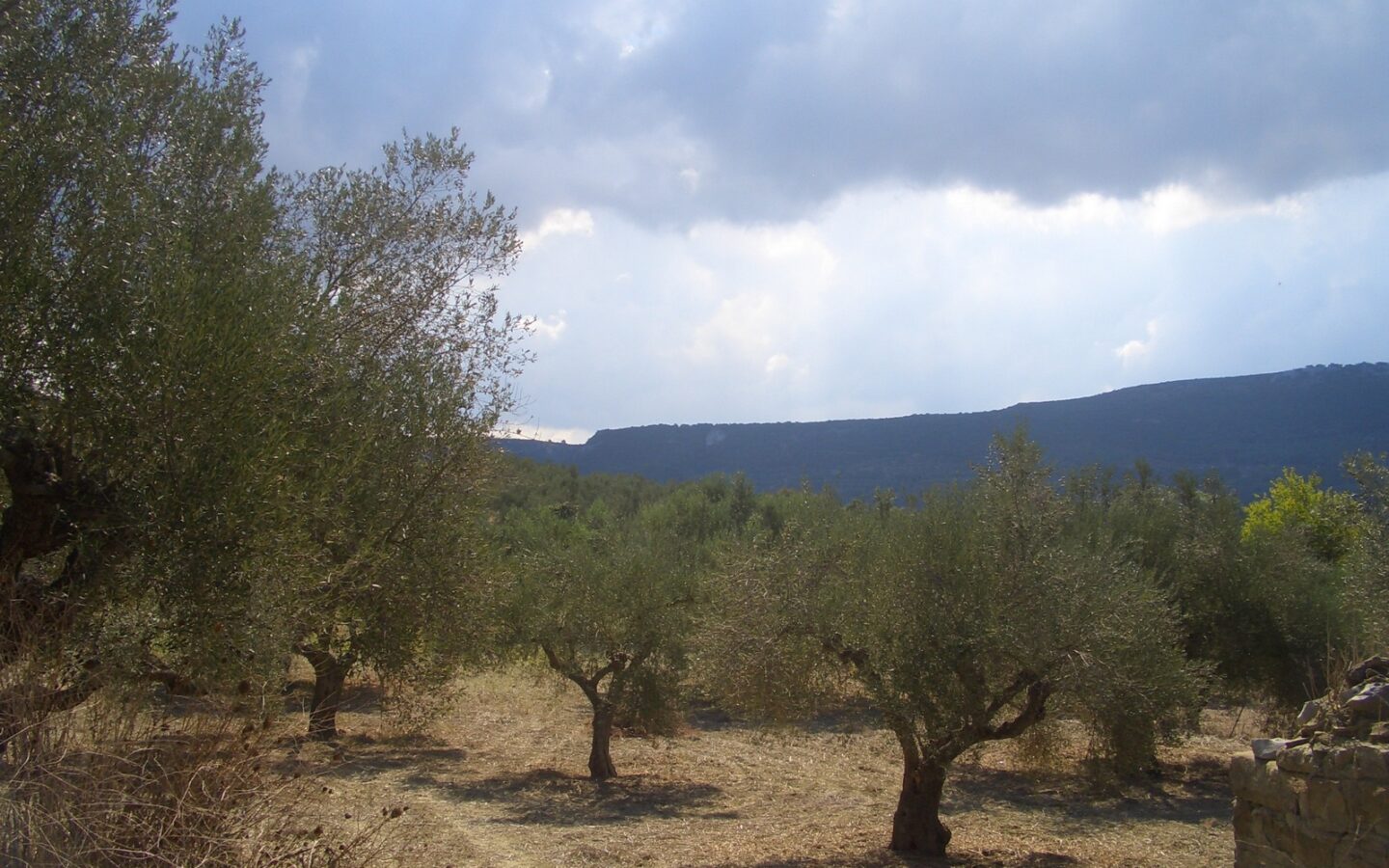 Land Of 4200 M² In Gialova Messenien South Peloponnese Greece