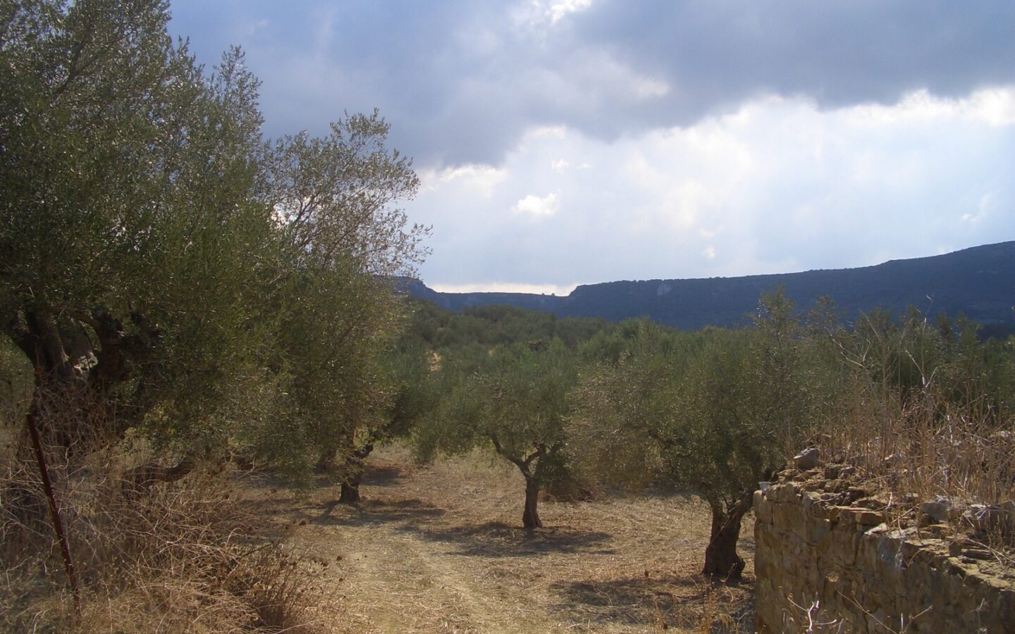 Land Of 4200 M² In Gialova Messenien South Peloponnese Greece