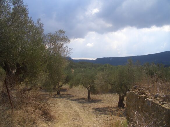 Land Of 4200 M² In Gialova Messenien South Peloponnese Greece
