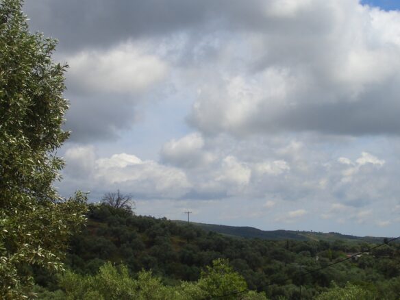 Plot Of 1281.95 M² In Pisaski, Near Koryfasio, Messinia South Peloponnese, Greece