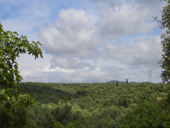 Plot Of 1281.95 M² In Pisaski, Near Koryfasio, Messinia South Peloponnese, Greece