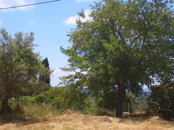 Plot Of 1281.95 M² In Pisaski, Near Koryfasio, Messinia South Peloponnese, Greece
